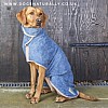 Blue Drying Coat - Labrador